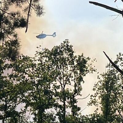 Waldbrand in Oranienbaum