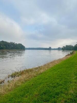 Elbe-Rosenwiesche